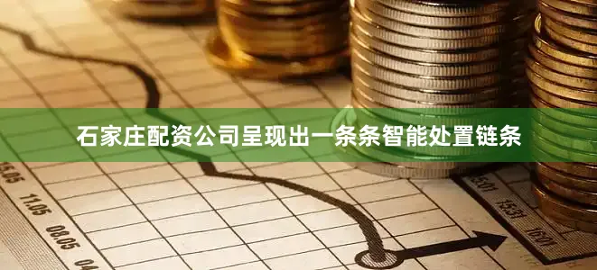 石家庄配资公司呈现出一条条智能处置链条