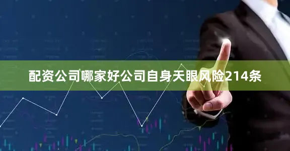 配资公司哪家好公司自身天眼风险214条