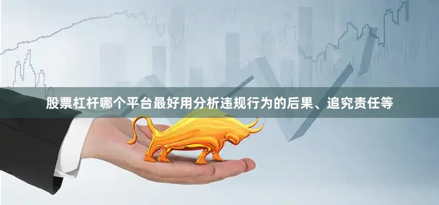 股票杠杆哪个平台最好用分析违规行为的后果、追究责任等